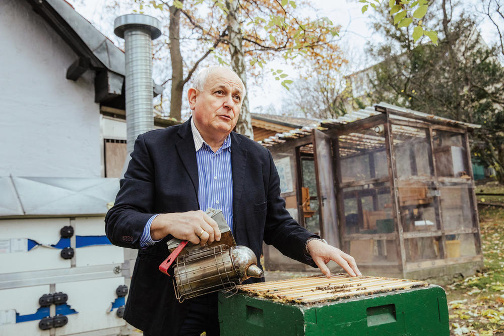 Benedikt Polaczek: Berlins wohl bekanntester Imker