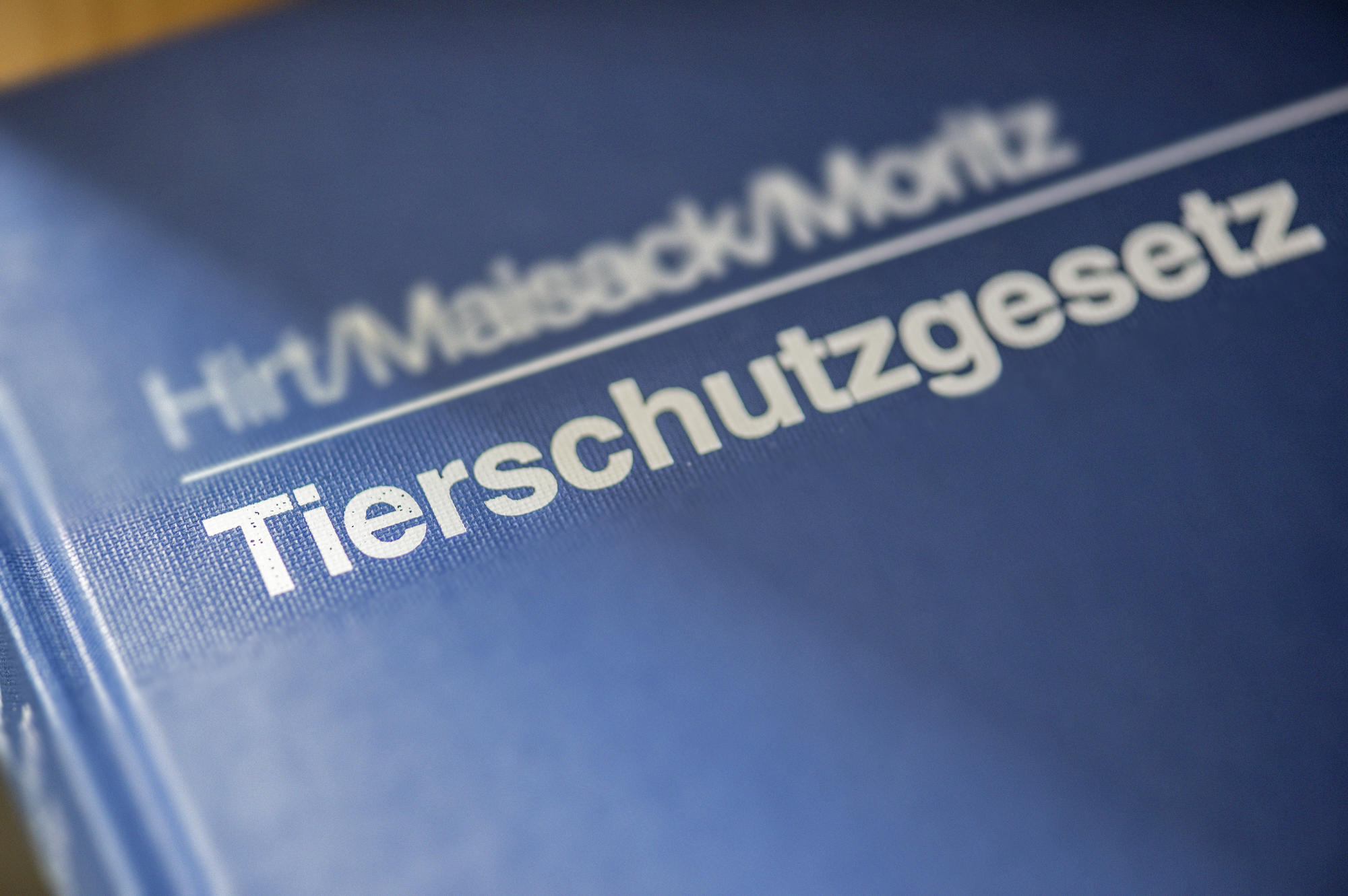 Das Tierschutzgesetz dient dazu, „aus der Verantwortung des Menschen für das Tier als Mitgeschöpf dessen Leben und Wohlbefinden zu schützen“