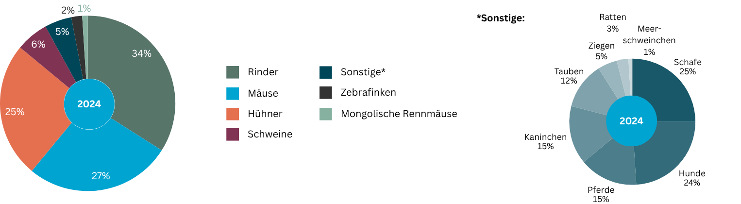 Prozentuale Verteilung der für das Jahr 2024 verwendeten Versuchstiere, aufgeschlüsselt nach Tierart