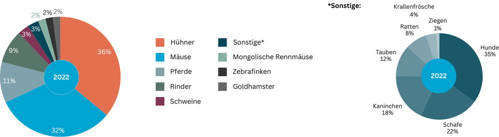 Die Abbildung zeigt die prozentuale Verteilung der 2022 verwendeten Versuchstiere, aufgeschlüsselt nach Tierart:  36% Hühner, 32% Mäuse, 11% Pferde, 9% Rinder, 3% Schweine, 3% Sonstige, 2% Mongolische Rennmäuse, 2% Zebrafinken und 2% Goldhamster.