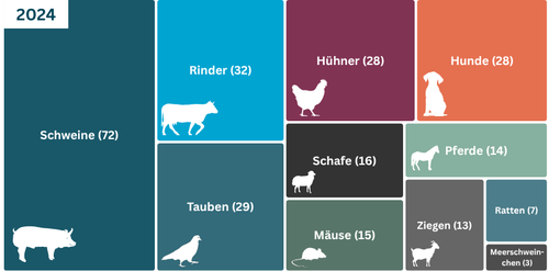 In der Lehre eingesetzte Tiere im Jahr 2024
