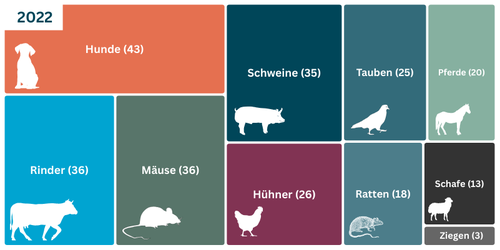 Die Abbildung zeigt die 2022 in der Lehre eingesetzten Tiere: 43 Hunde, 36 Rinder, 36 Mäuse, 35 Schweine, 26 Hühner, 25 Tauben, 18 Ratten, 20 Pferde, 13 Schafe und 3 Ziegen.