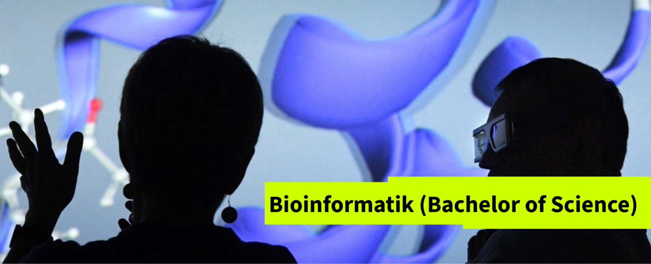 Bioinformatik (Bachelor of Science)