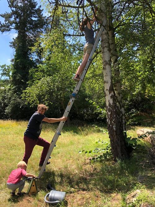 blaetterlaube_sustainIT