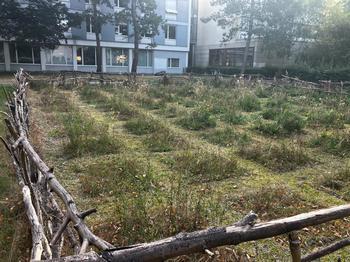 Gary Biodiversity Experiment an der OSI Bibliothek