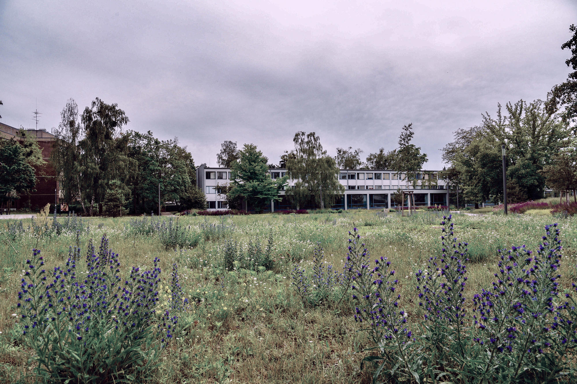 Die Freie Universität bekennt sich zu ihrer Verantwortung für Nachhaltigkeit und Klimaschutz.