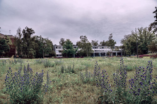 Die Freie Universität bekennt sich zu ihrer Verantwortung für Nachhaltigkeit und Klimaschutz.
