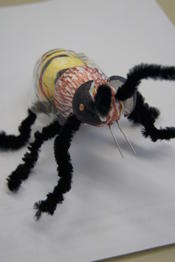 Workshop: Die Wunderwelt der Bienen und das Geheimnis unseres Überlebens!