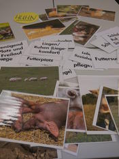 Beim Workshop "Hereinspaziert in den Stall der Zukunft" mit PROVIEH e.V.