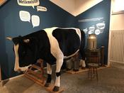 Beim Workshop "Ökologische Landwirtschaft und artgerechte Tierhaltung hautnah erleben" im März 2019; Foto: Cora Ksynzik