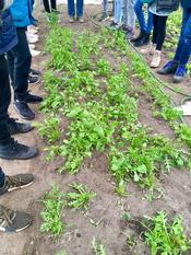 Beim Workshop "Ökologische Landwirtschaft und artgerechte Tierhaltung hautnah erleben" im März 2019; Foto: Cora Ksynzik