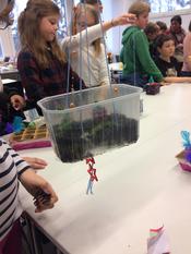 Beim Workshop "Was wächst denn da? Entdecke die essbare Stadt" im März 2019