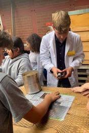 Beim Workshop "Wo die wilden Bienen leben" im September 2019