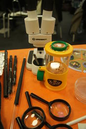 Lernstation 2: Mein kleiner Weltacker - Wie viel Acker(boden) braucht der Mensch?