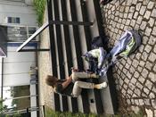 Vorbereitungen für die Sustainability Days 2022