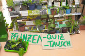 Bei den Sustainability Days 2026 (Foto: Laura Herbst)