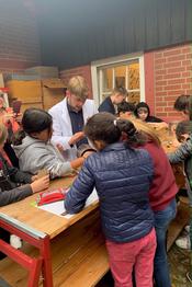 Bienen, Honig und Met