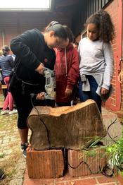 Bienen, Honig und Met