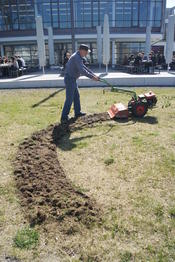 Blumenpflanzaktion 2015