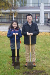 Blumenpflanzen für die Wildbienen!