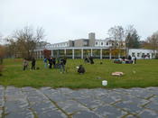 Blumenpflanzen für die Wildbienen!