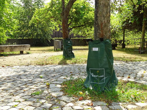 Die Gießsäcke namens "Baumbad"