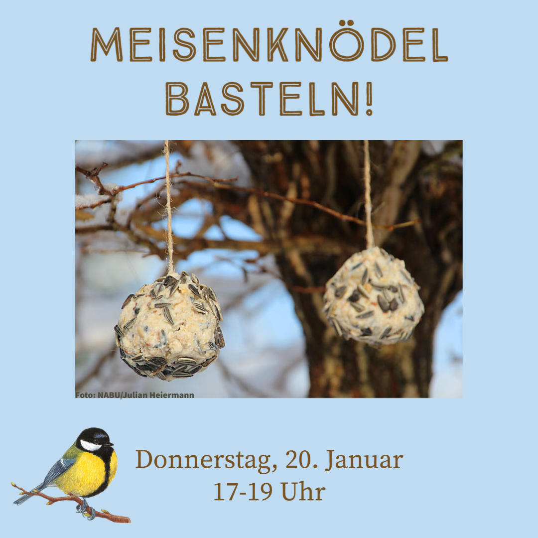 bild_für_meisenlknödel_termin