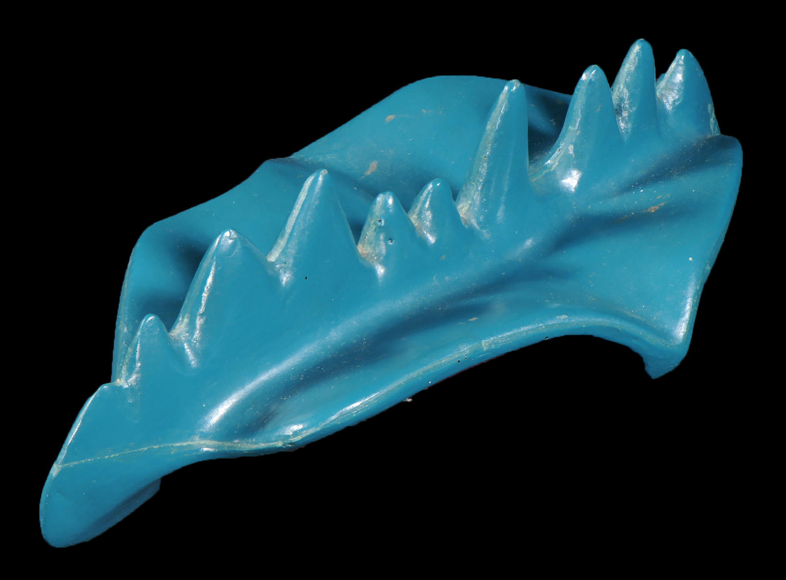 Vergrößertes Modell einer Conodonten-Fossilie. Paläontologische Übungssammlung, Institut für Geologische Wissenschaften.