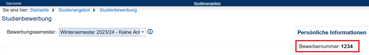 Beispiel_Bewerbungsnummer