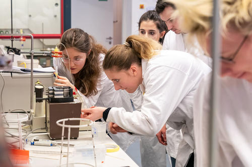 Praktikum im Mono-Bachelor Biochemie
