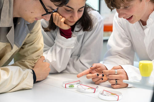Praktikum im Kombi-Bachelor Biologie