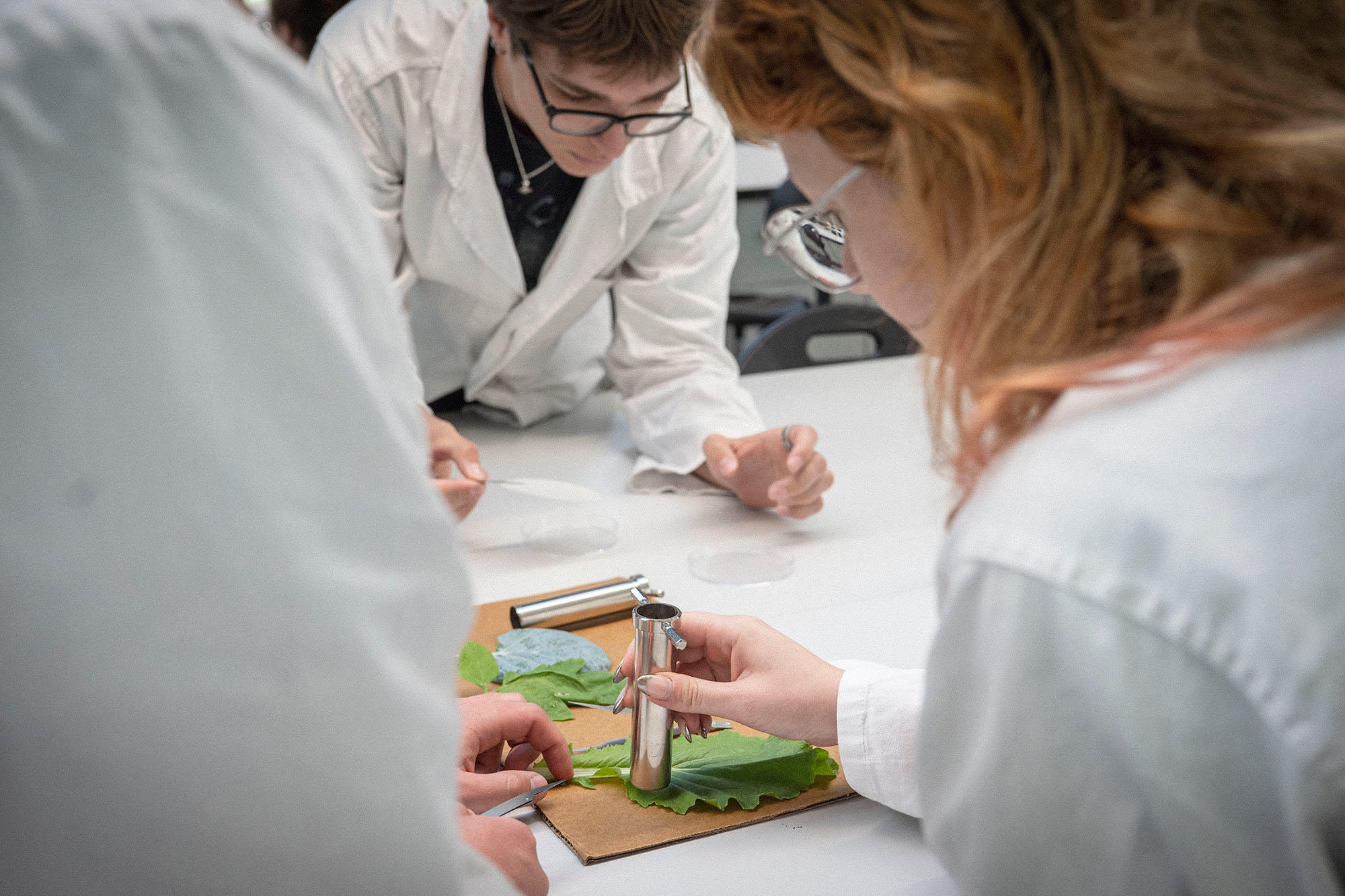 Praktikum im Mono-Bachelor Biologie