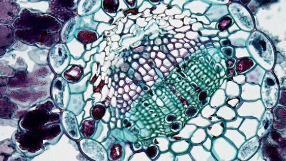 pexels-fayette-reynolds-m-s-181007507-11198523