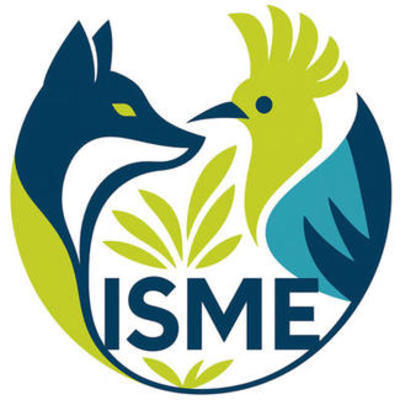 isme_logo_fox_hoopoe_20251